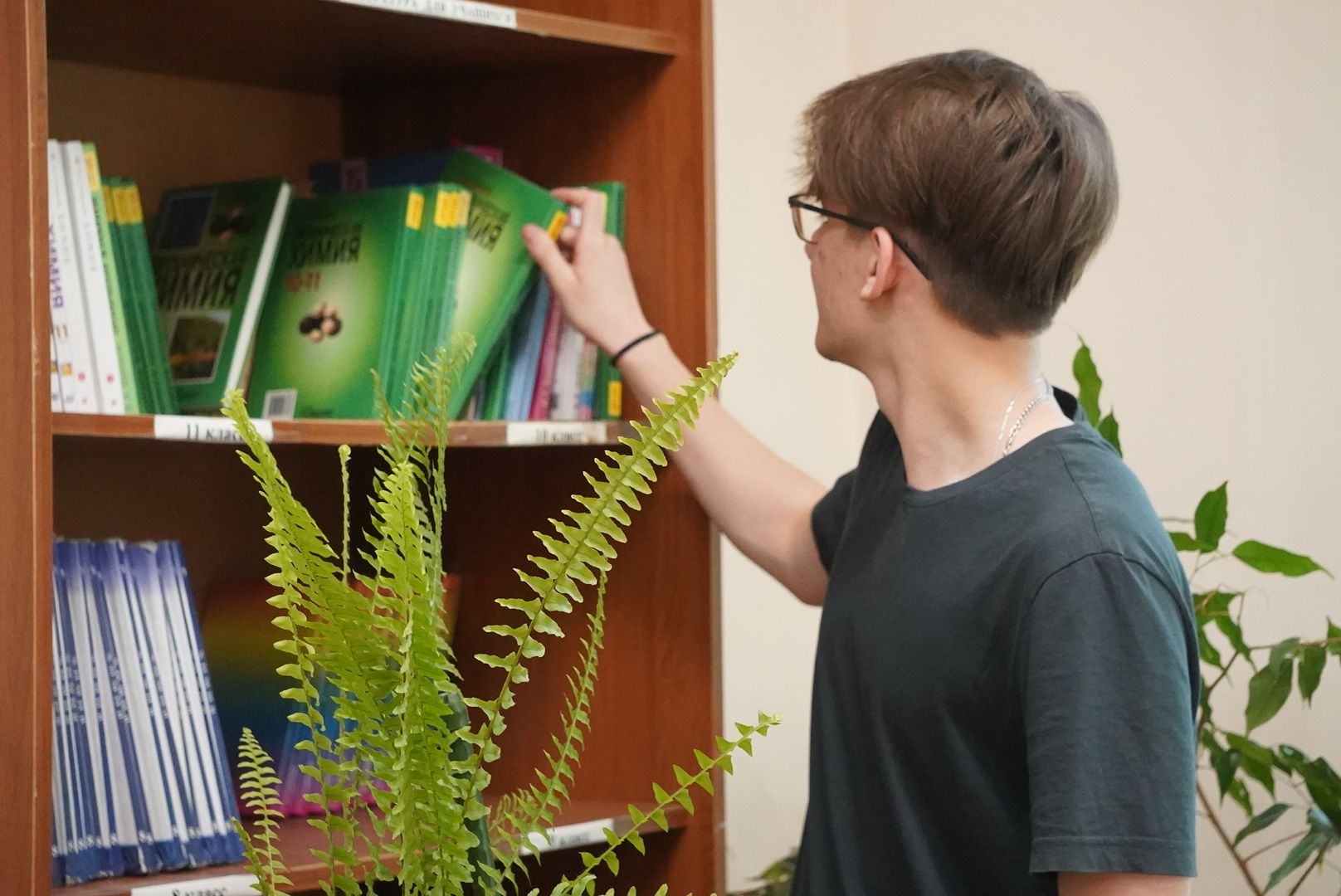 павловский  посад, образование ,