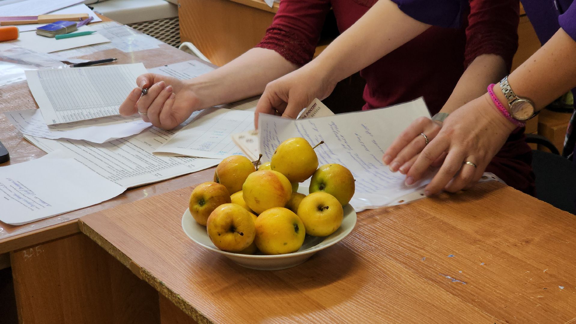 детский лагерь, летний лагерь при школе, щёлково,