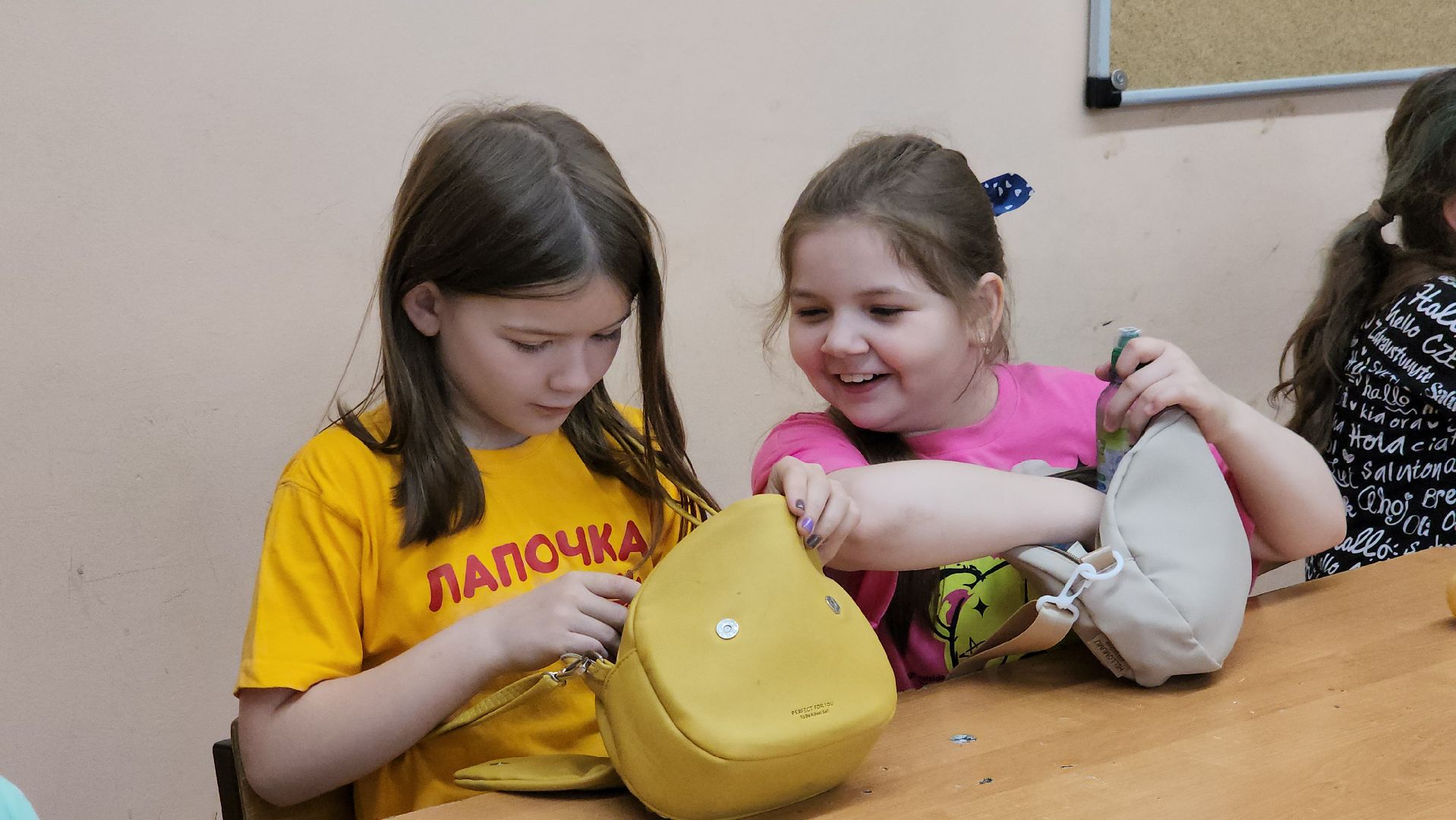 детский лагерь, летний лагерь при школе, щёлково,