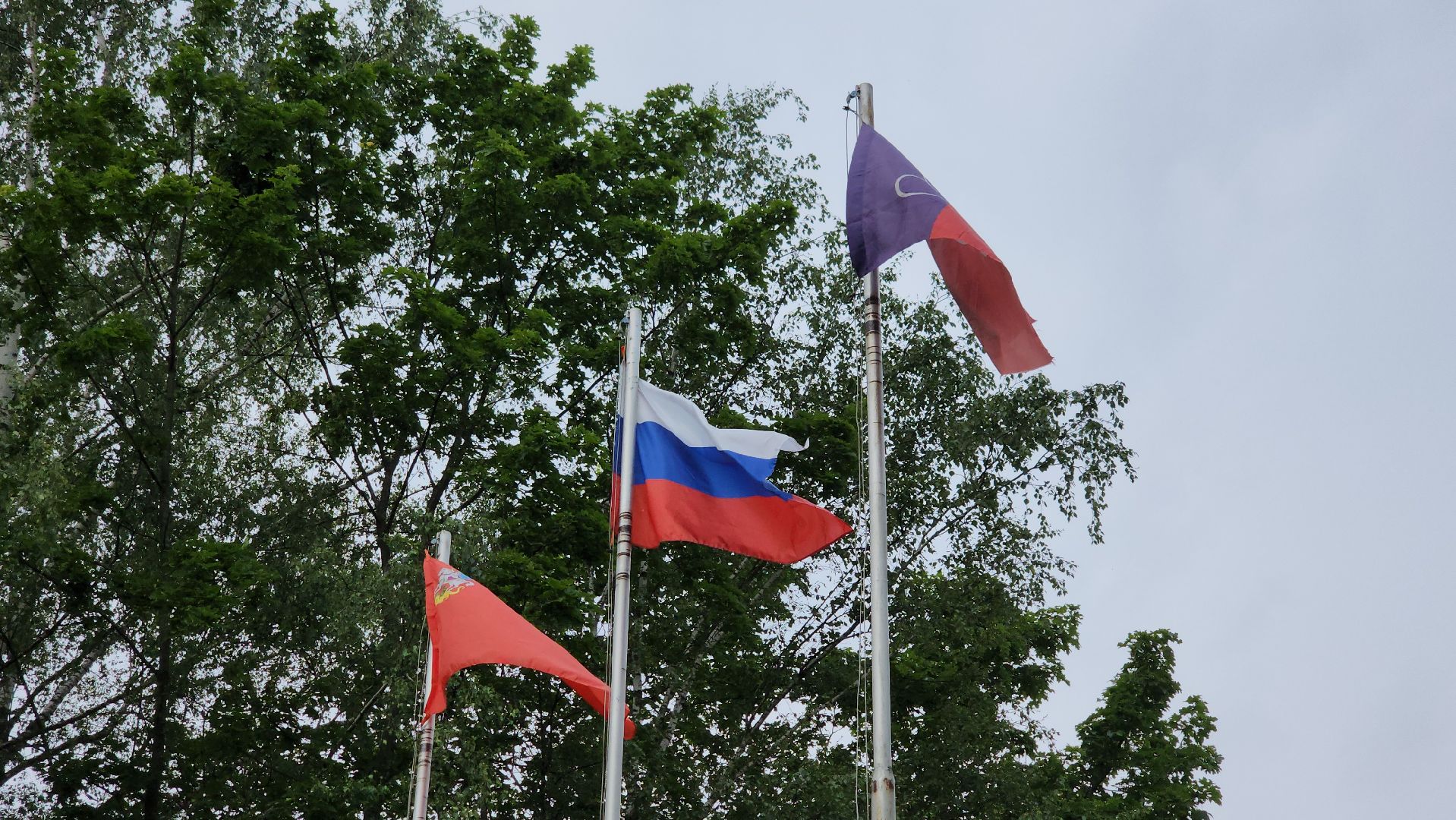 детский лагерь, летний лагерь при школе, щёлково,