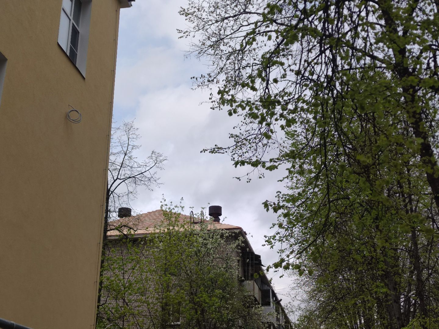 благоустройство, ремонт кровли, жкх, Дубна