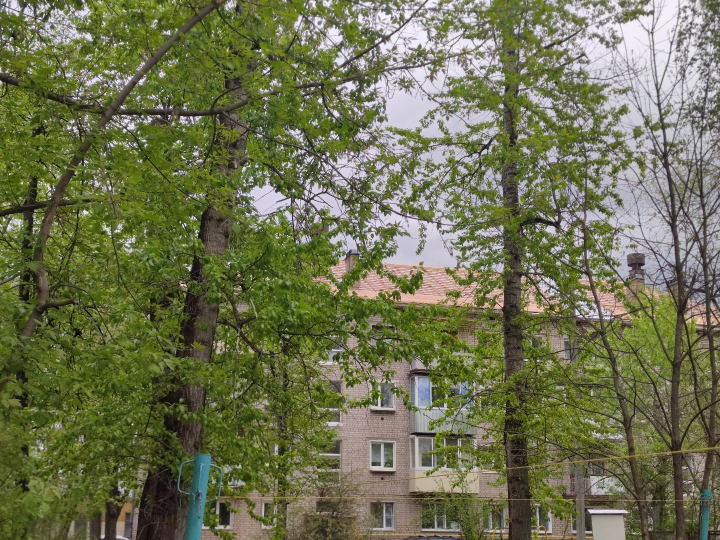 благоустройство, ремонт кровли, жкх, Дубна