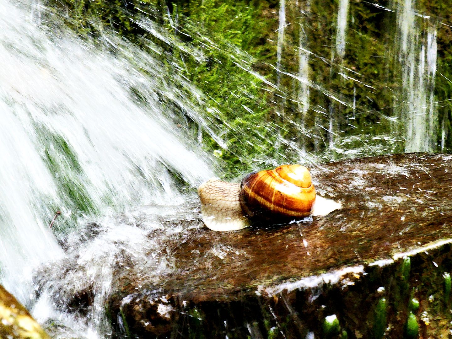 пущино, серпухов, туризм, лето в подмосковье,