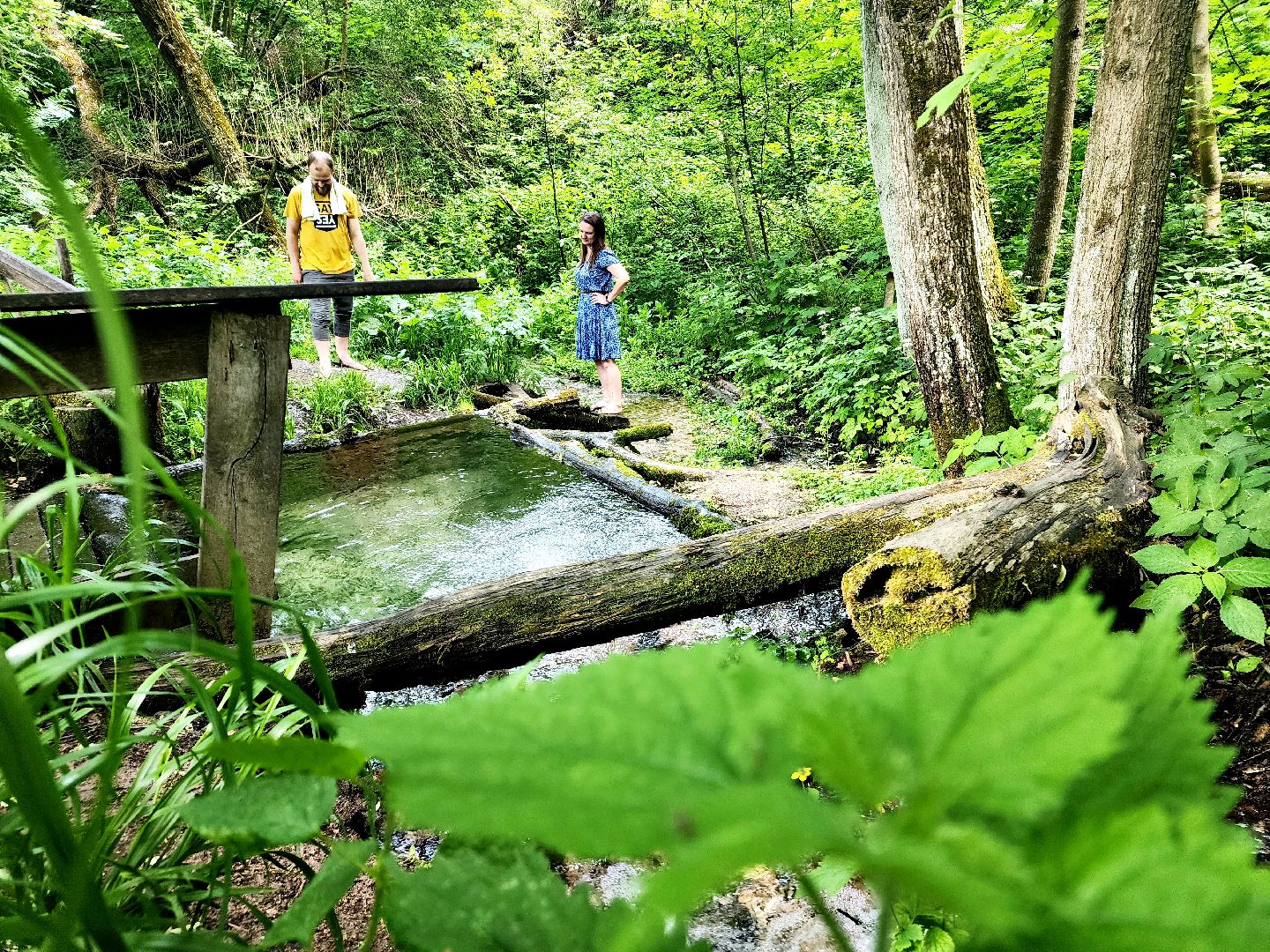 пущино, серпухов, туризм, лето в подмосковье,
