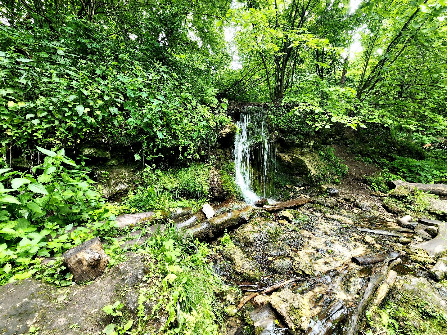 пущино, серпухов, туризм, лето в подмосковье,