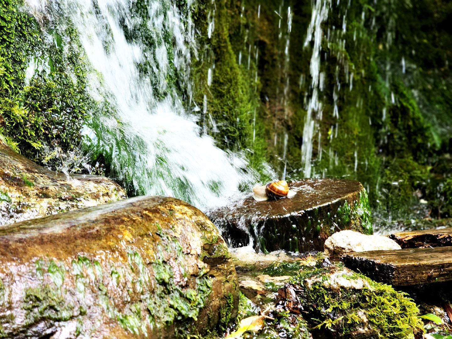 пущино, серпухов, туризм, лето в подмосковье,
