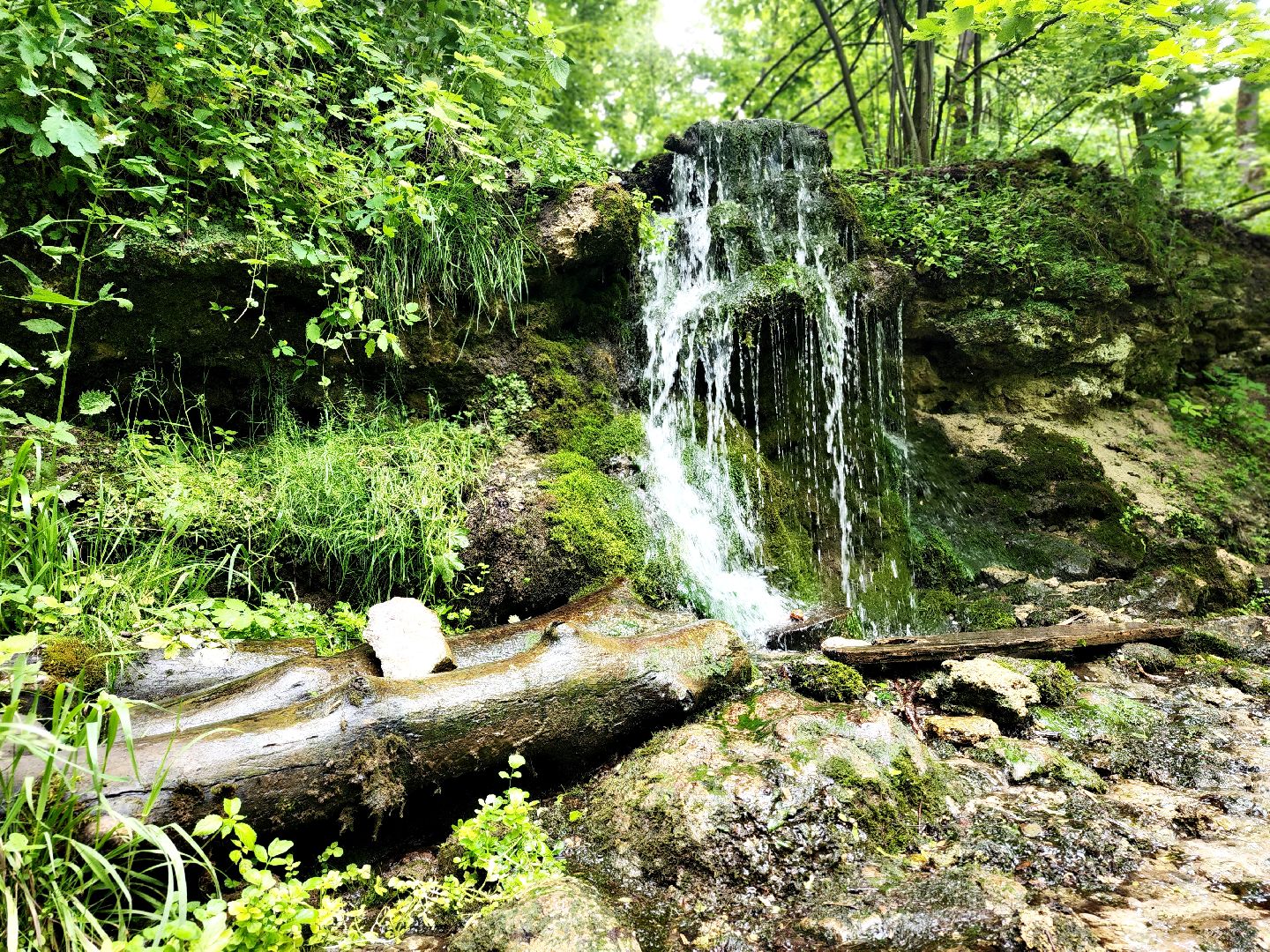 пущино, серпухов, туризм, лето в подмосковье,