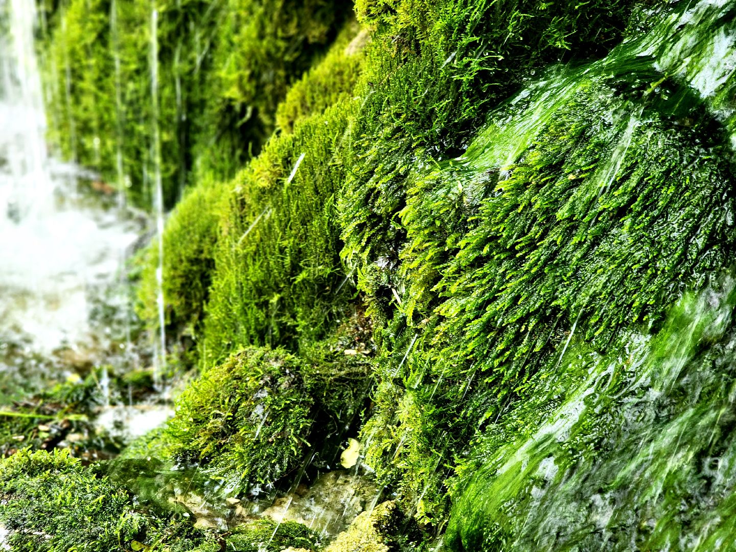 пущино, серпухов, туризм, лето в подмосковье,