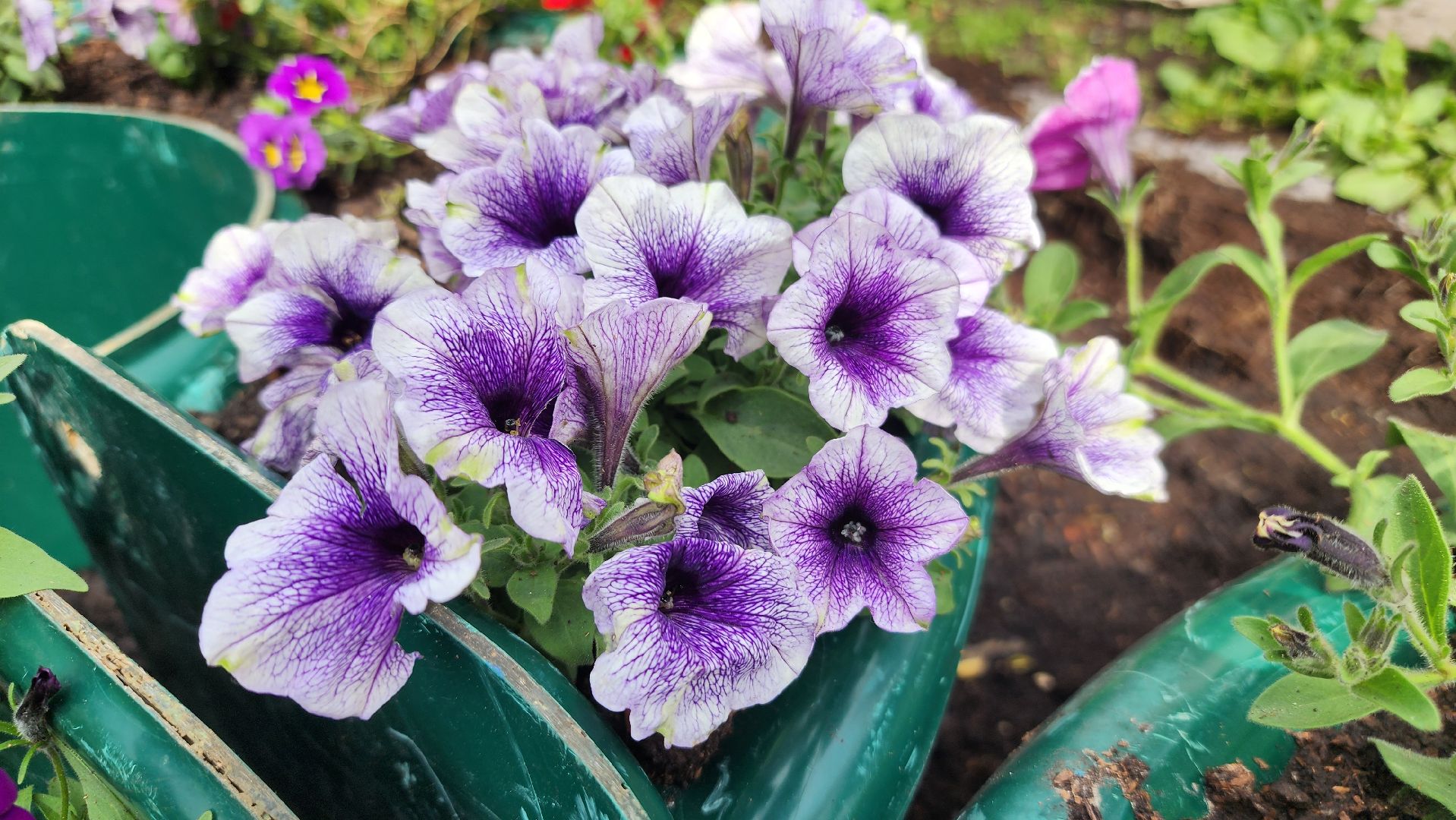 волоколамск, благоустройство,