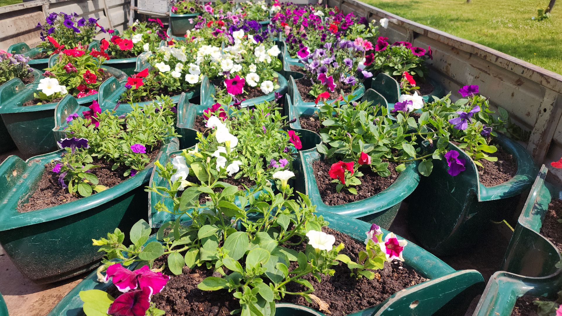 волоколамск, благоустройство,