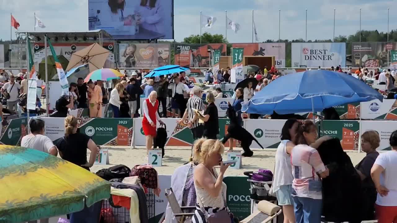 /mediabank_mount//73129/8174b8c6213d1717f004738352316633.jpg