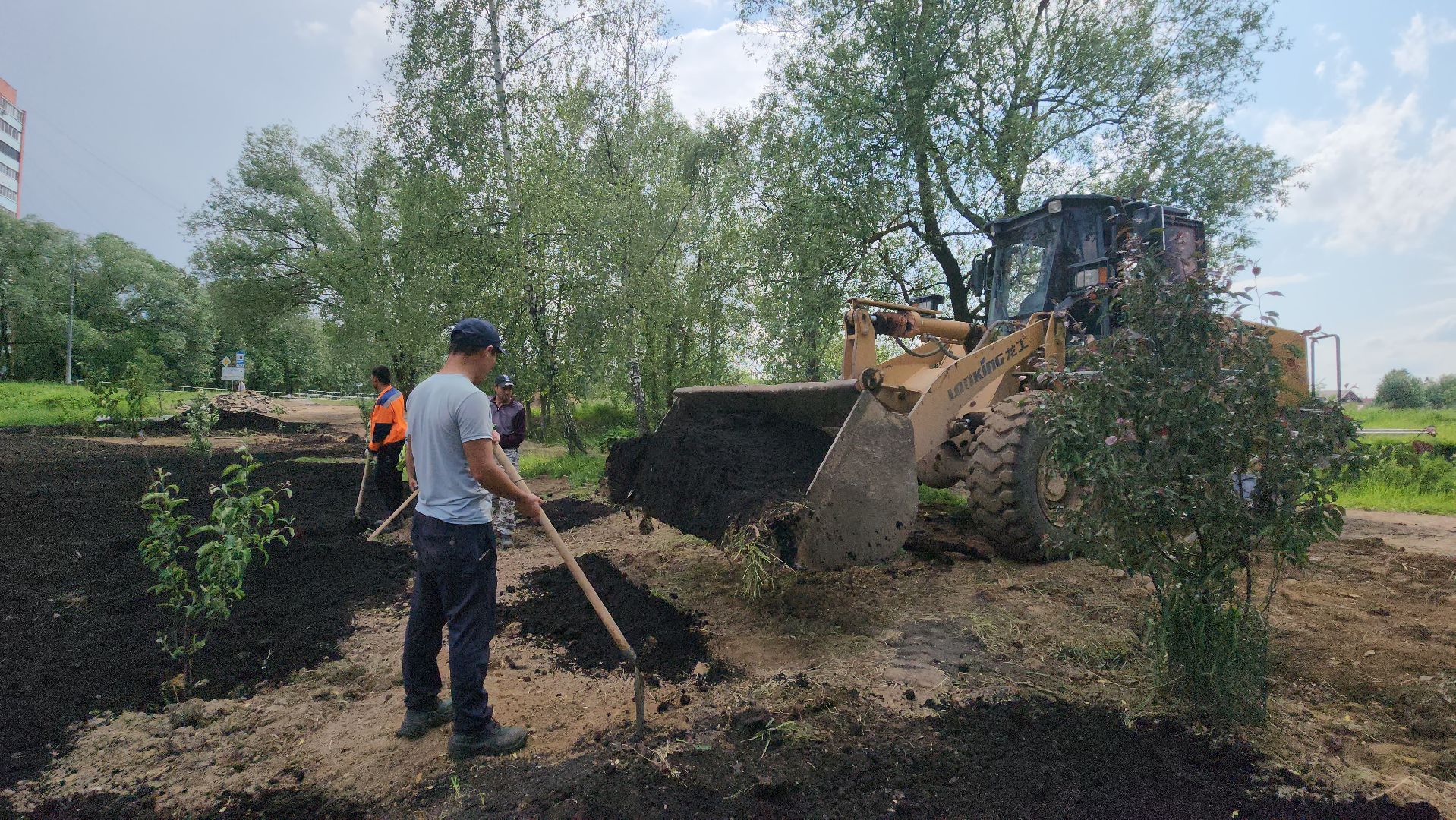 Благоустройство , Сад, Пересадка деревьев , Лобня,