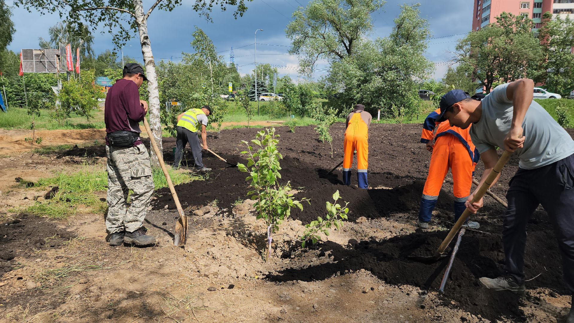 Благоустройство , Сад, Пересадка деревьев , Лобня,