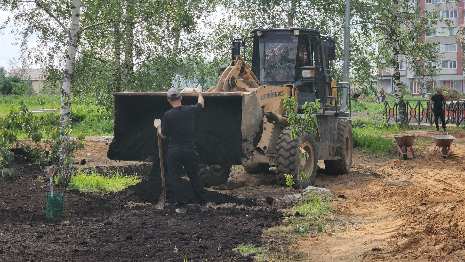 Благоустройство , Сад, Пересадка деревьев , Лобня,
