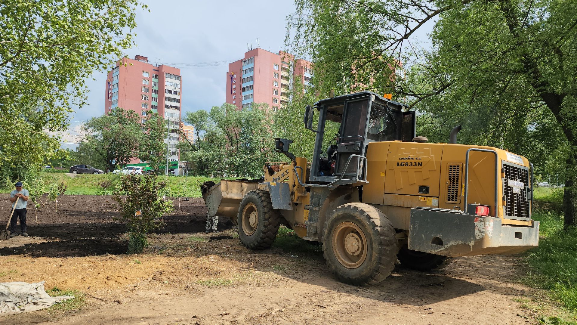 Благоустройство , Сад, Пересадка деревьев , Лобня,