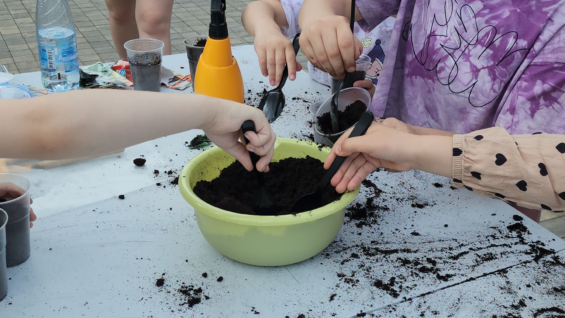 Истра, Парк, Огород, Семена,  Рассада,