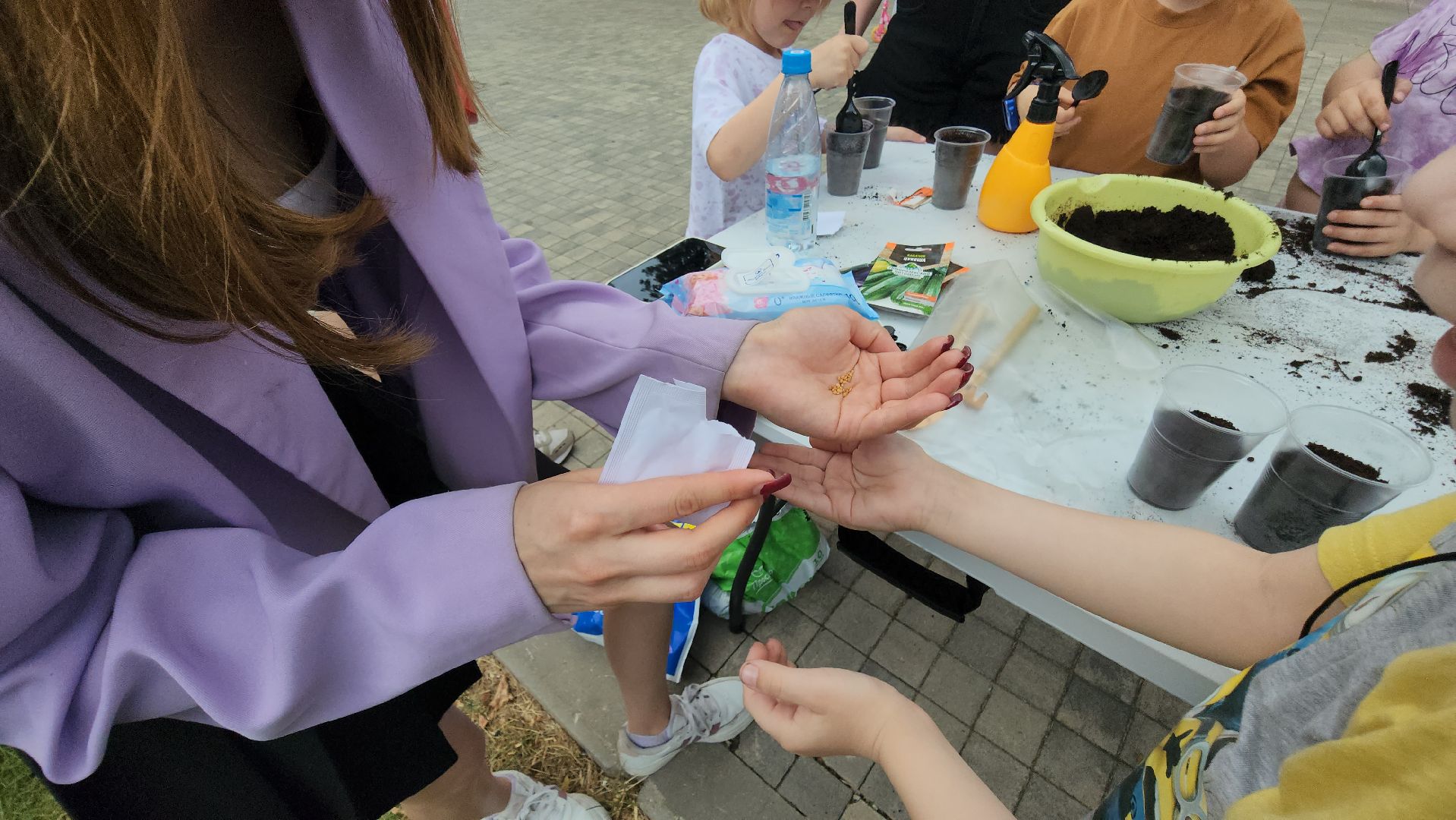 Истра, Парк, Огород, Семена,  Рассада,