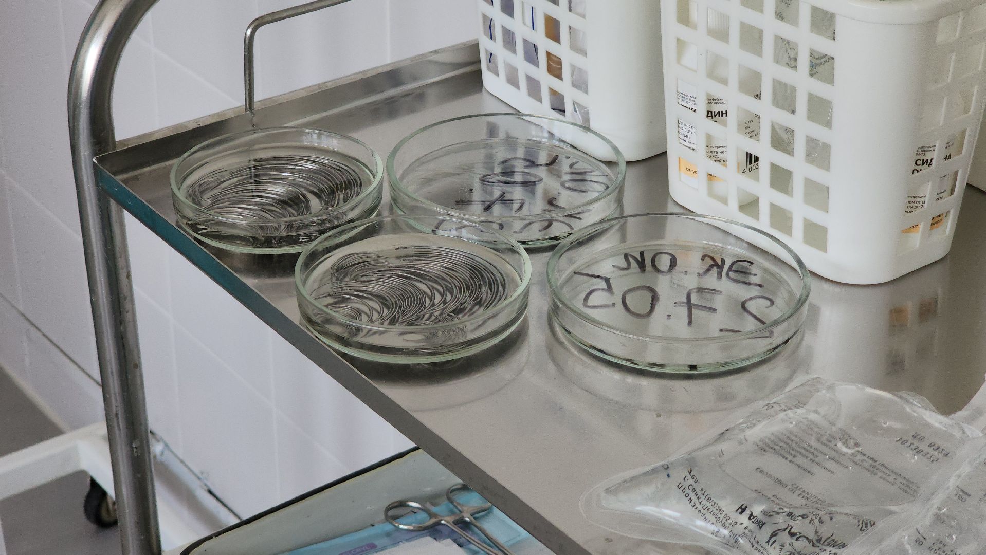 Руза, рузская больница, день медработника, здравоохранение мо,