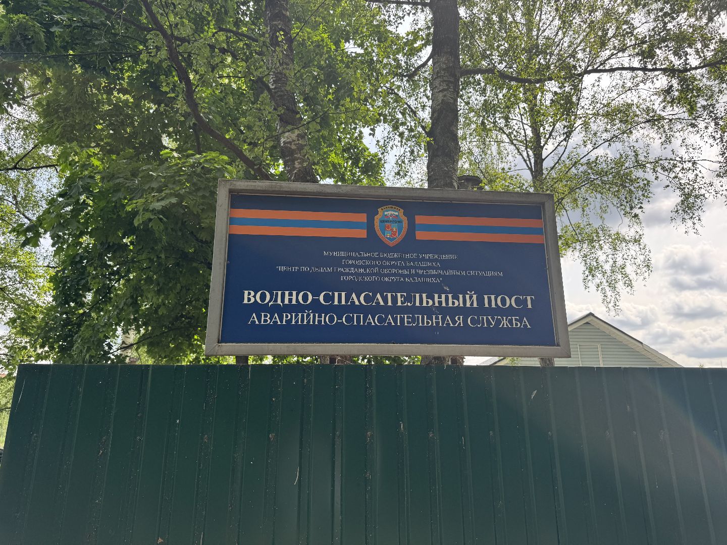 научись плавать, балашиха, детский лагерь,