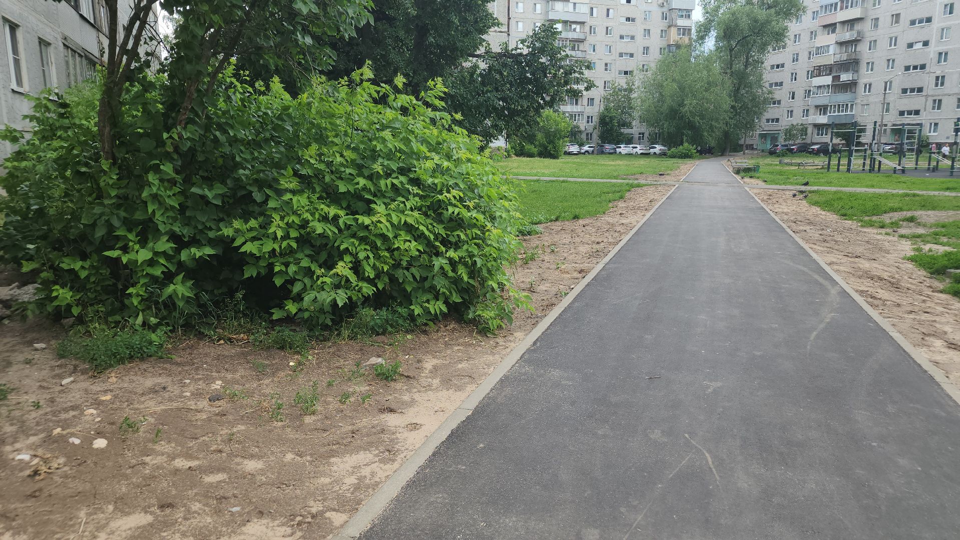 народные тропы, пешком в подмосковье, орехово-зуево,