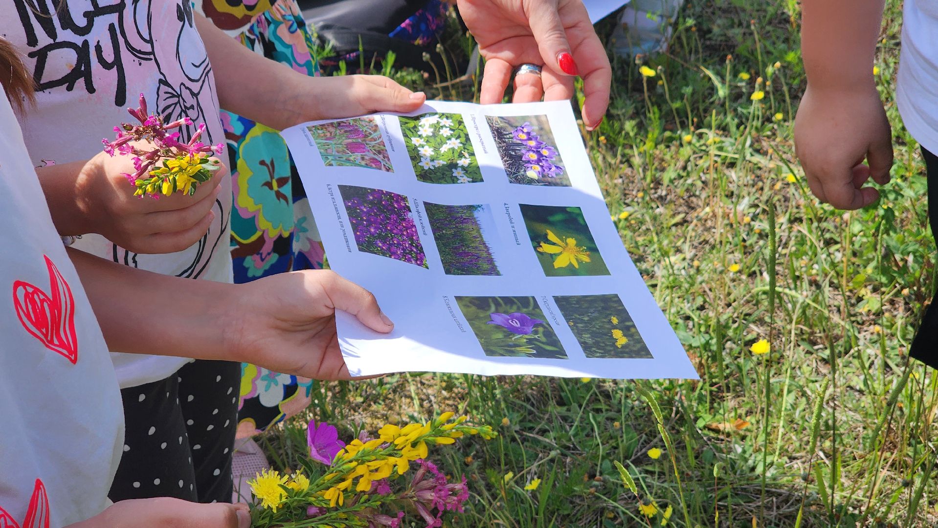марафон зеленых дел, всероссийская акция, протвино, лицей,