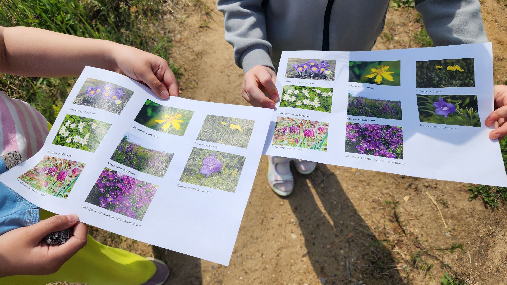марафон зеленых дел, всероссийская акция, протвино, лицей,