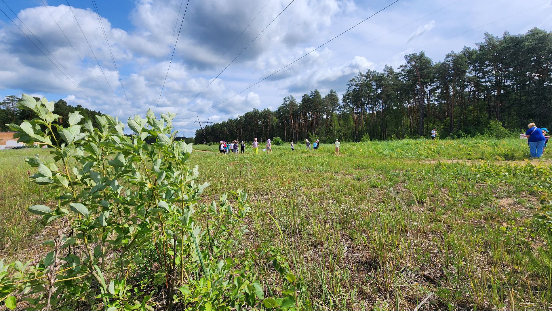 марафон зеленых дел, всероссийская акция, протвино, лицей,