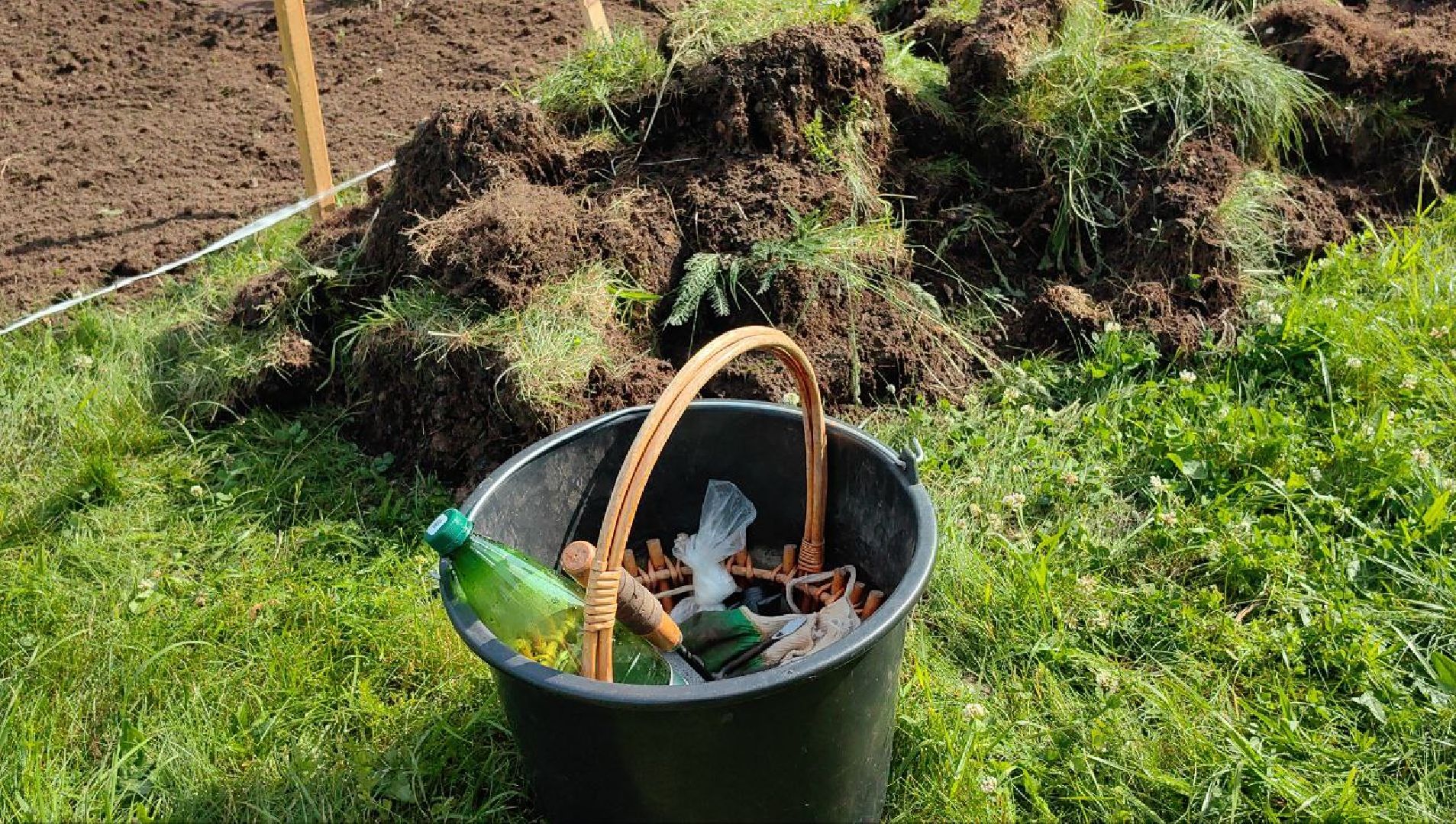 трудовое лето, уборка, проект, каникулы, школьники, бригада,