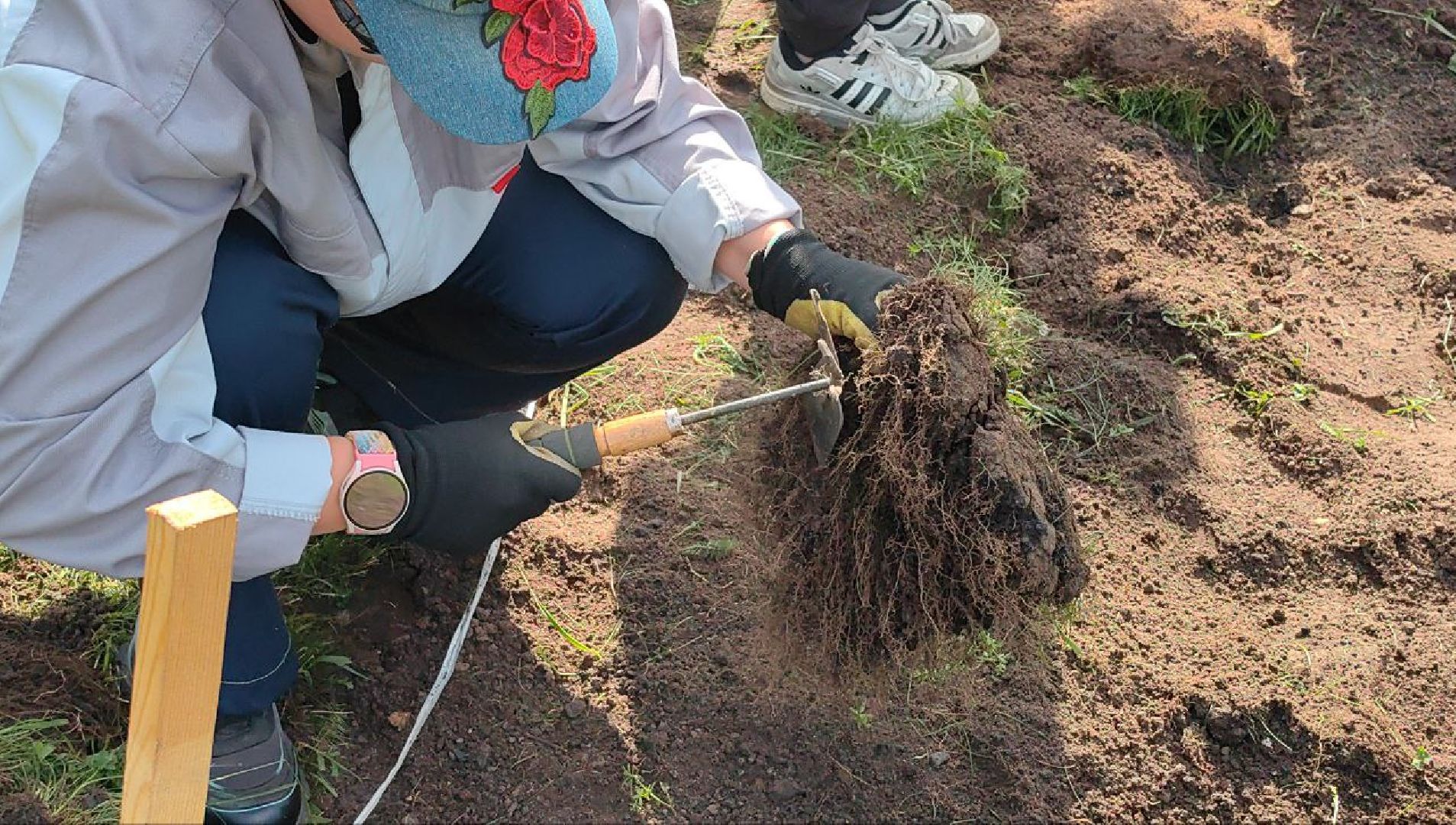 трудовое лето, уборка, проект, каникулы, школьники, бригада,