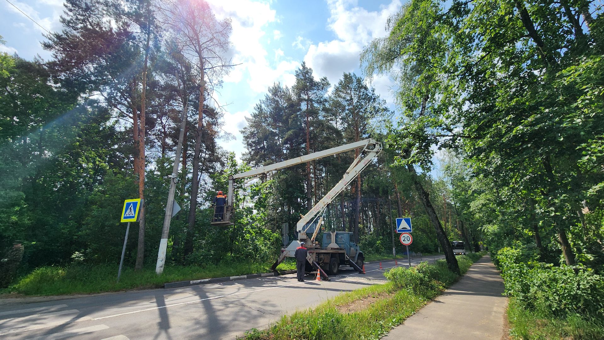 протвино, удаление сухих деревьев , комбинат благоустройства,
