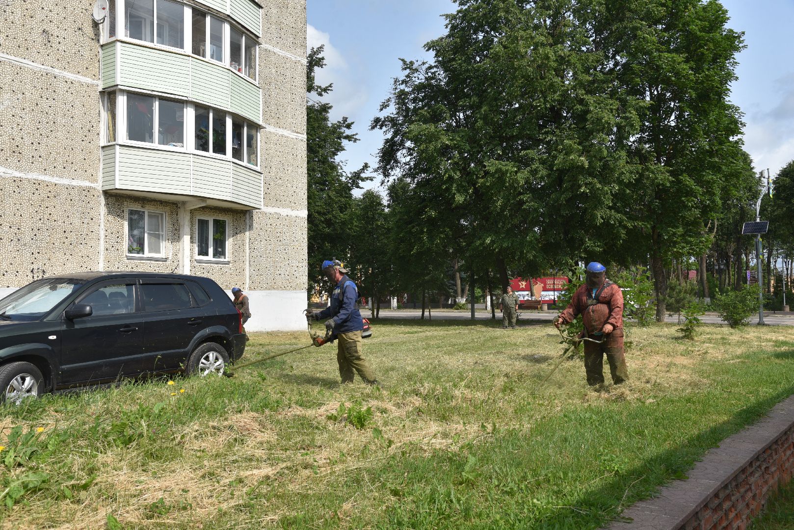 лотошино, благоустройство, добродел, окос травы,