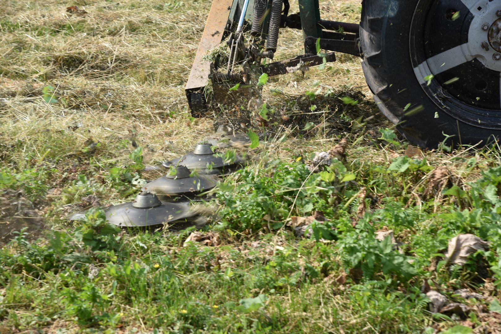 лотошино, благоустройство, добродел, окос травы,