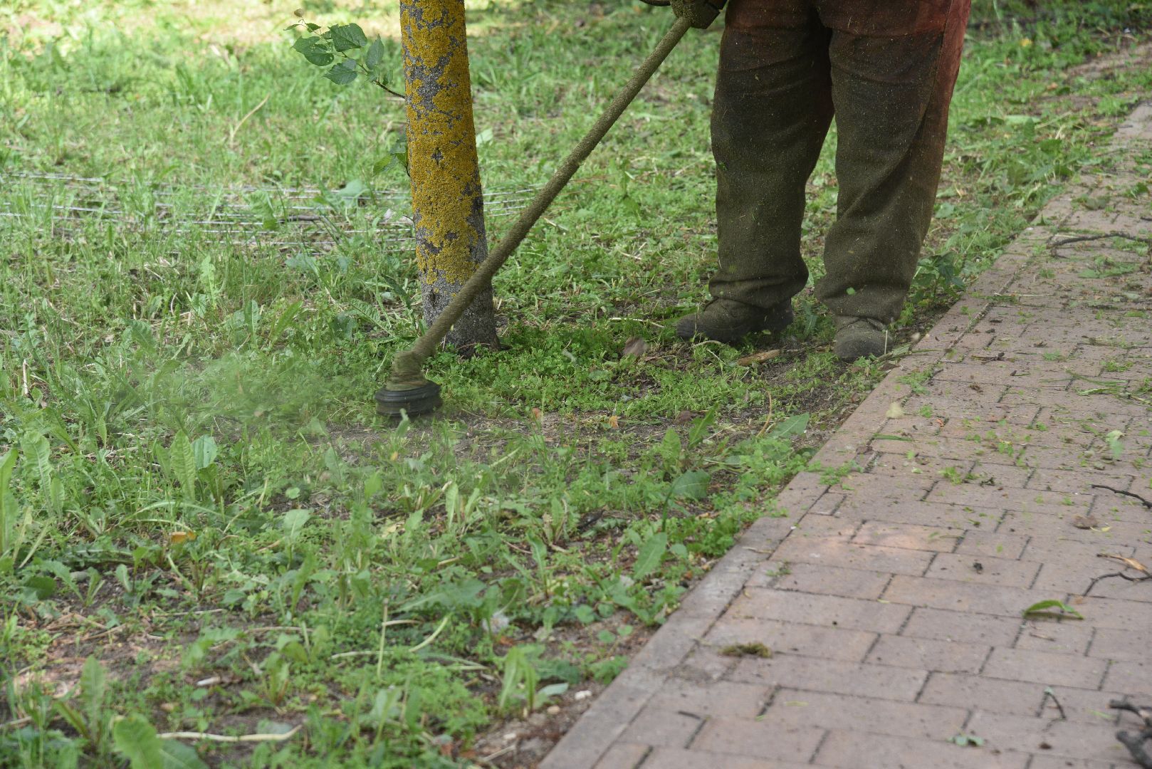 лотошино, благоустройство, добродел, окос травы,