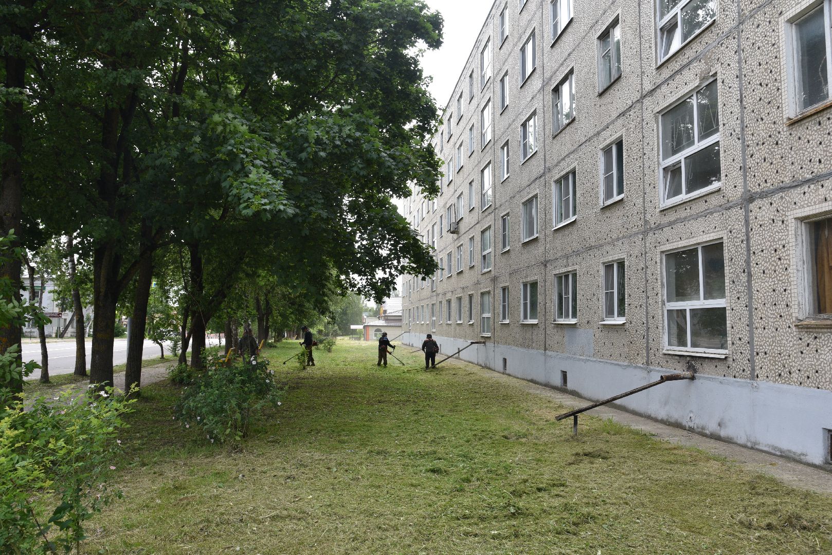 лотошино, благоустройство, добродел, окос травы,