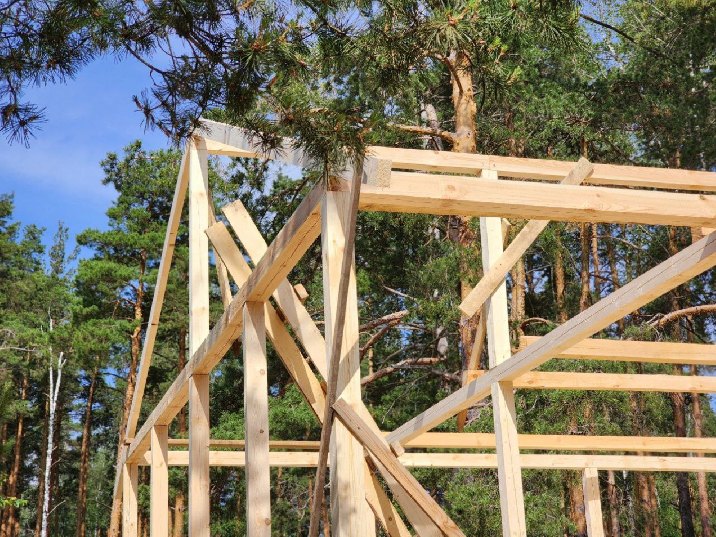 воскресенск, предпринимательство, отдых, грантовая поддержка,