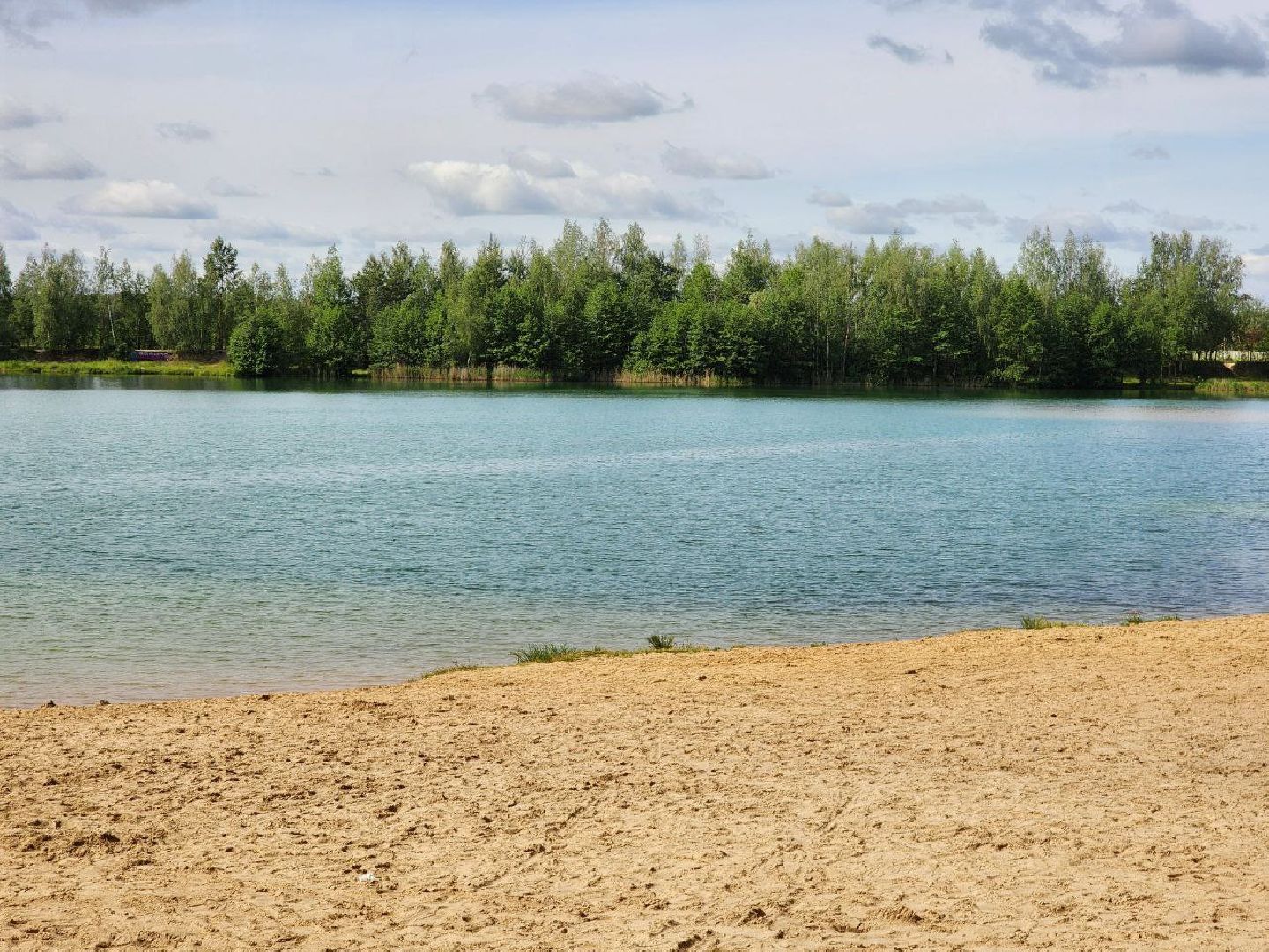 воскресенск, предпринимательство, отдых, грантовая поддержка,