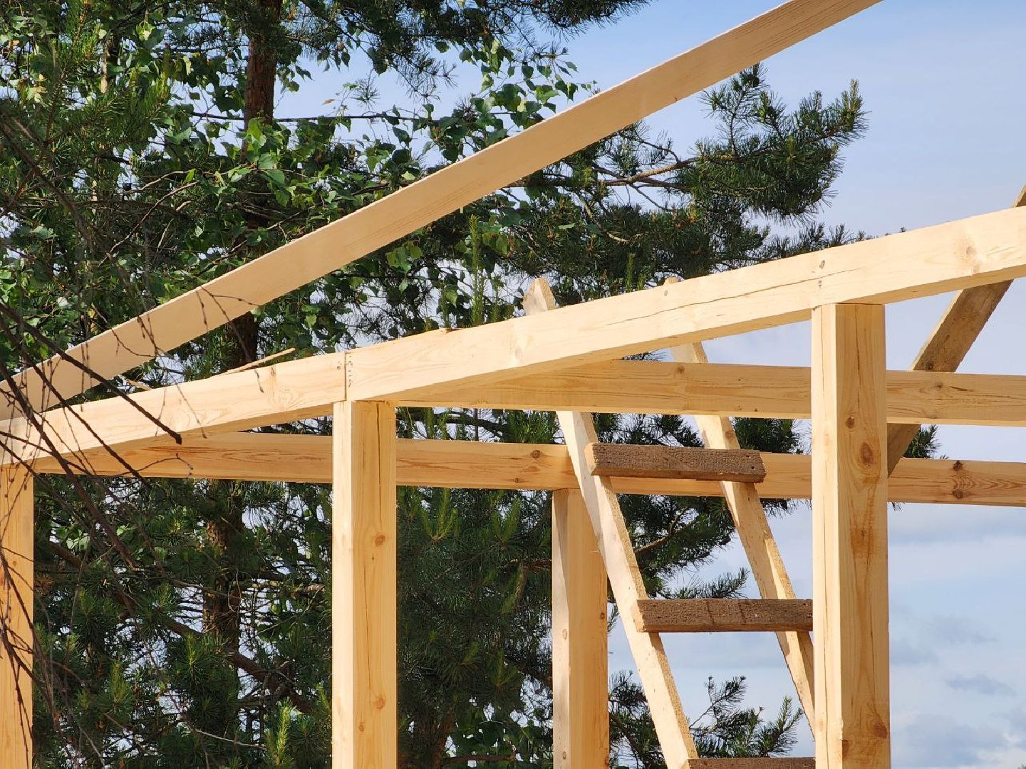 воскресенск, предпринимательство, отдых, грантовая поддержка,