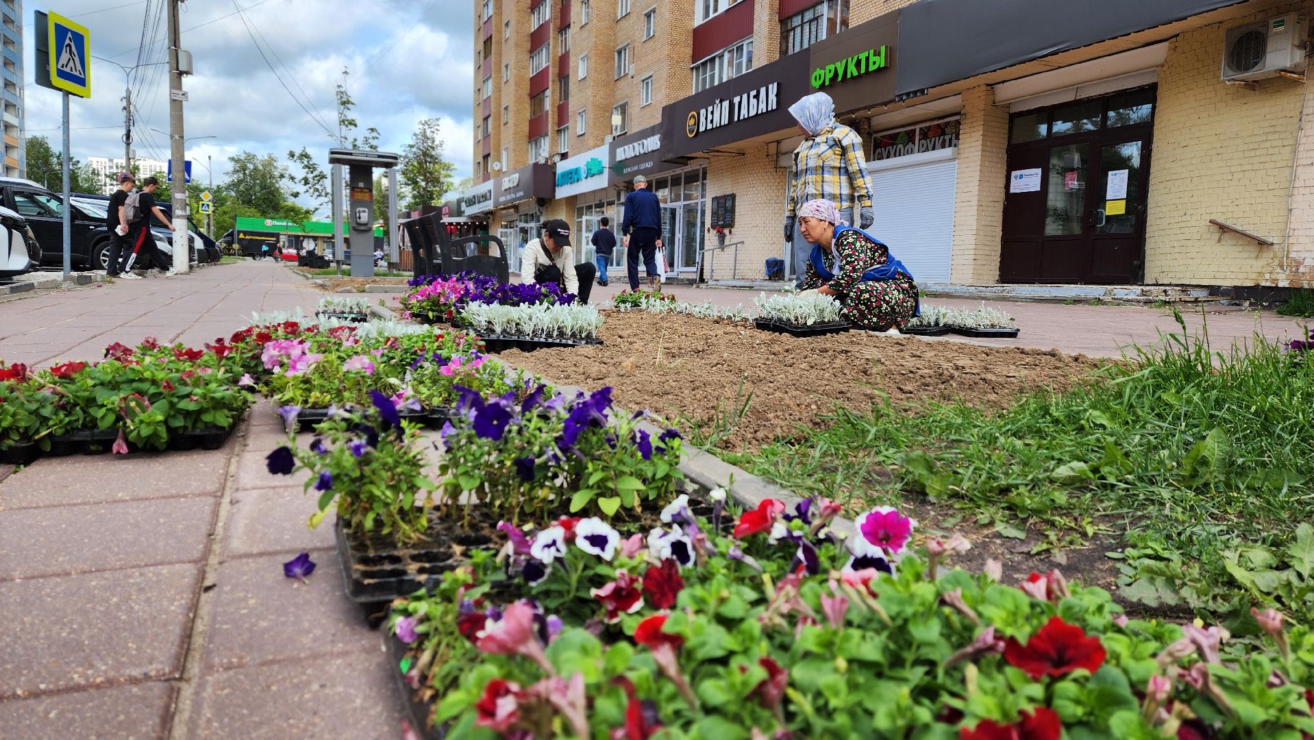солнечногорск, благоустройство, улица дзержинского, бастилия, цветы,