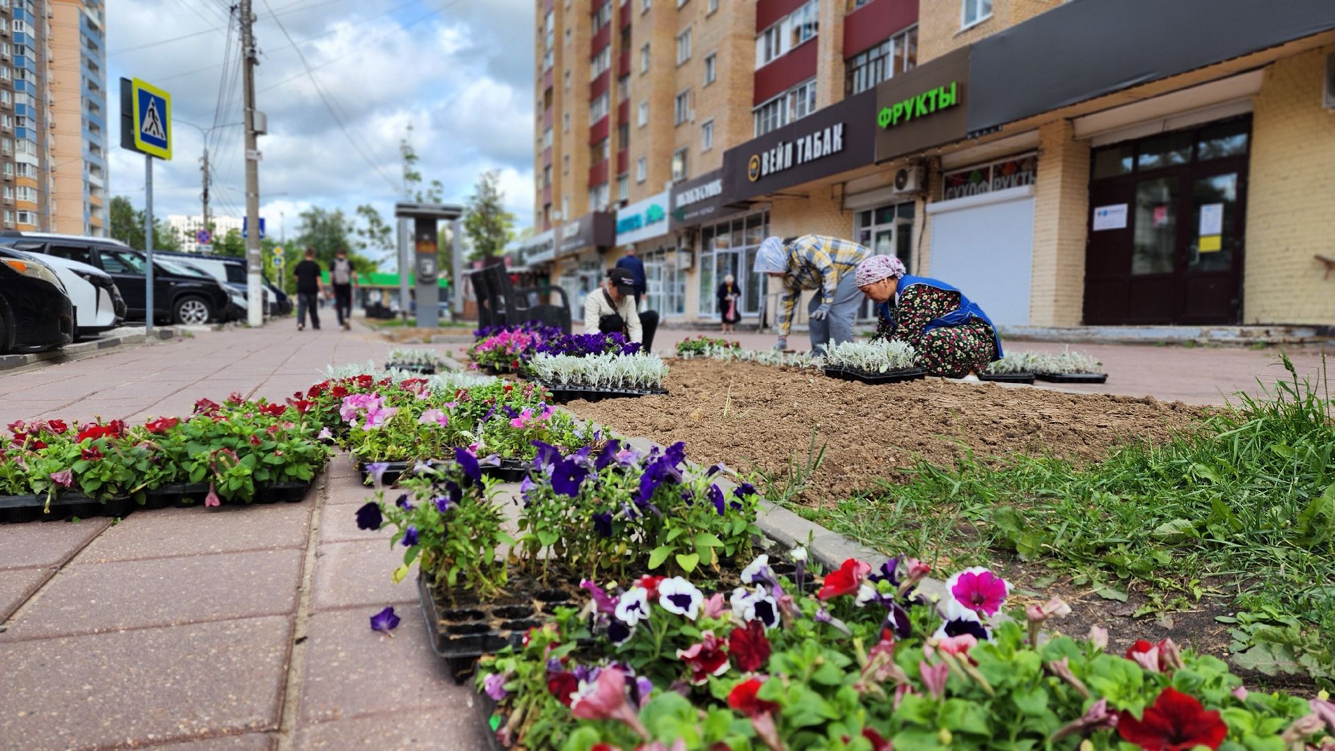 солнечногорск, благоустройство, улица дзержинского, бастилия, цветы,