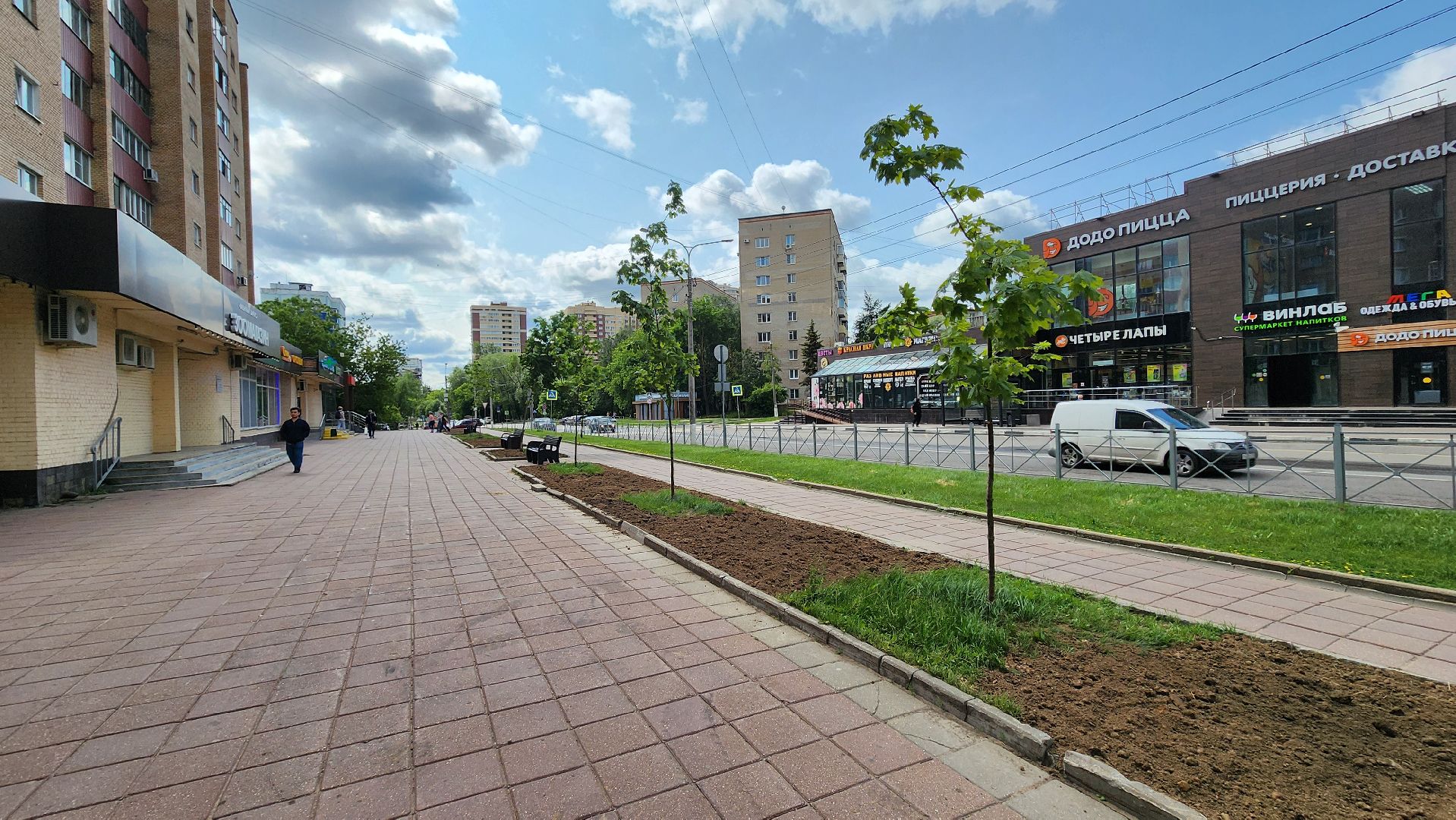 солнечногорск, благоустройство, улица дзержинского, бастилия, цветы,