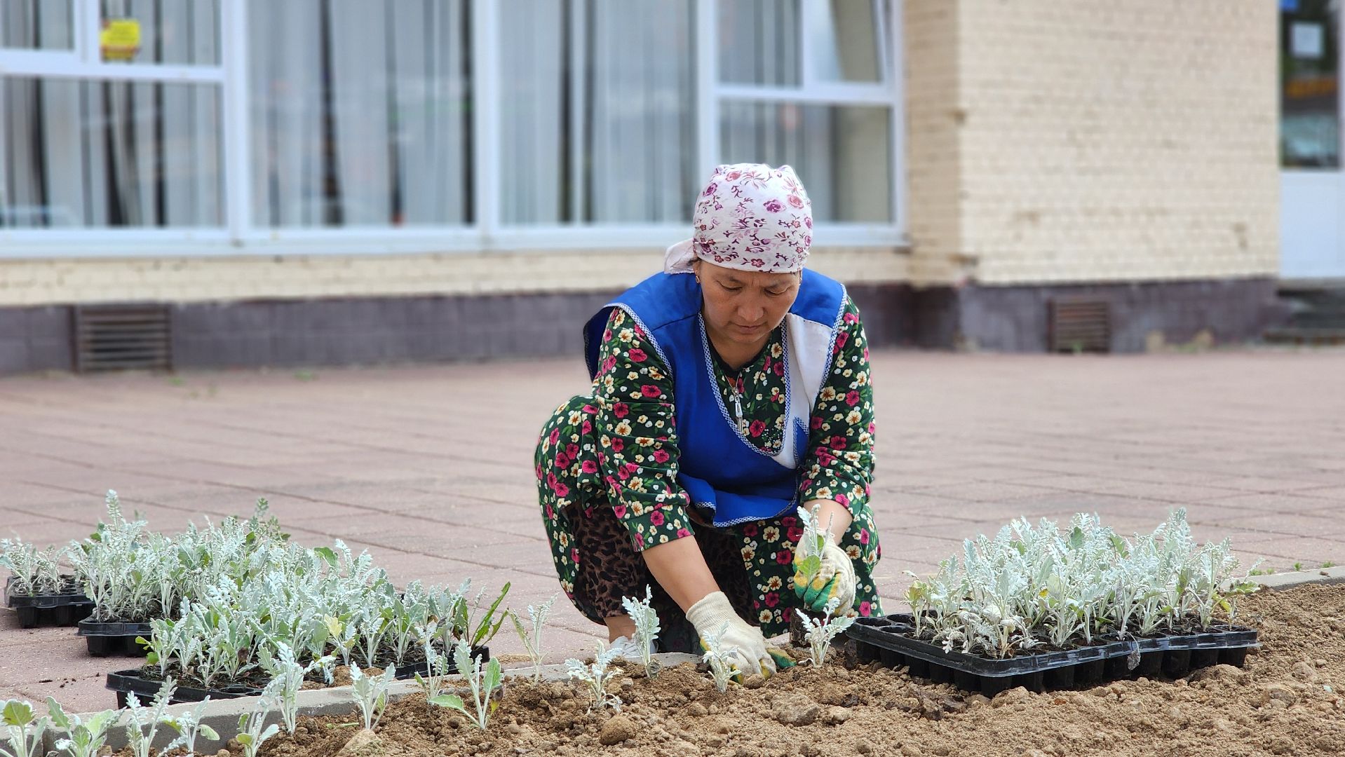 солнечногорск, благоустройство, улица дзержинского, бастилия, цветы,