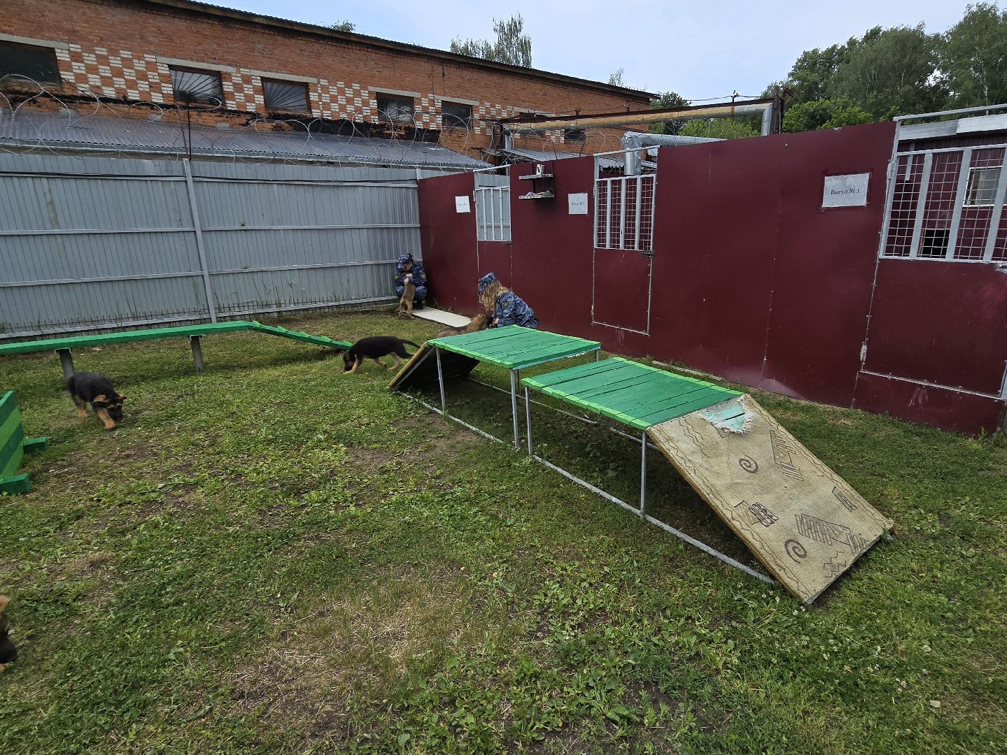 Коломна , питомник служебного собаководства, служебная собака,