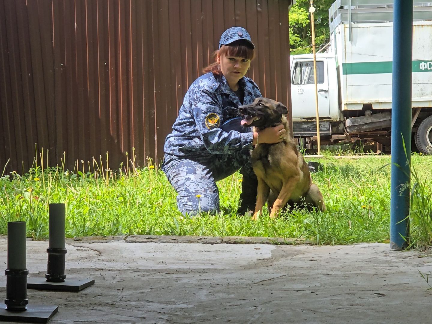 Коломна , питомник служебного собаководства, служебная собака,