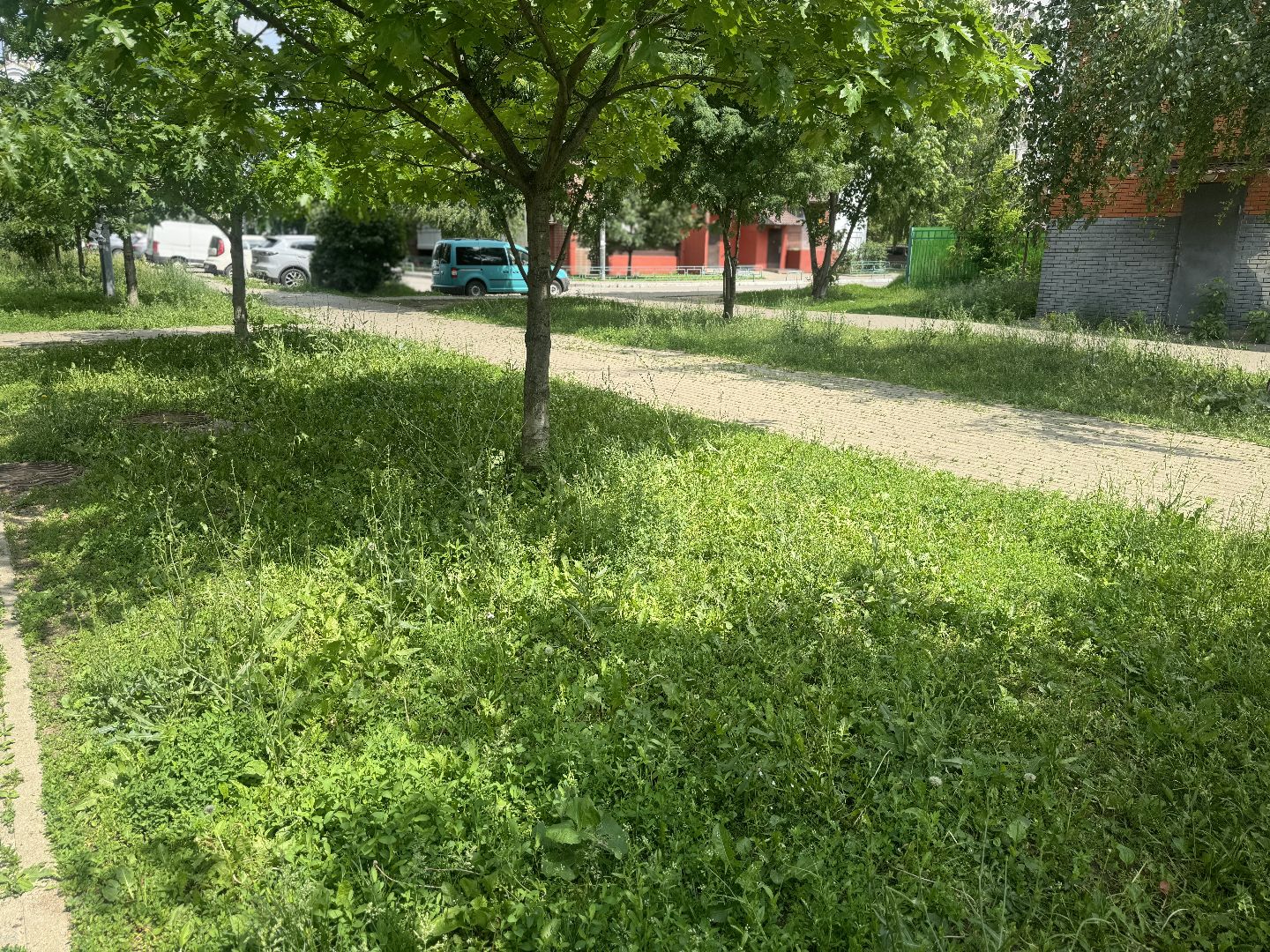 благоустройство сквера, благоустройство набережной, ленинский городской округ,