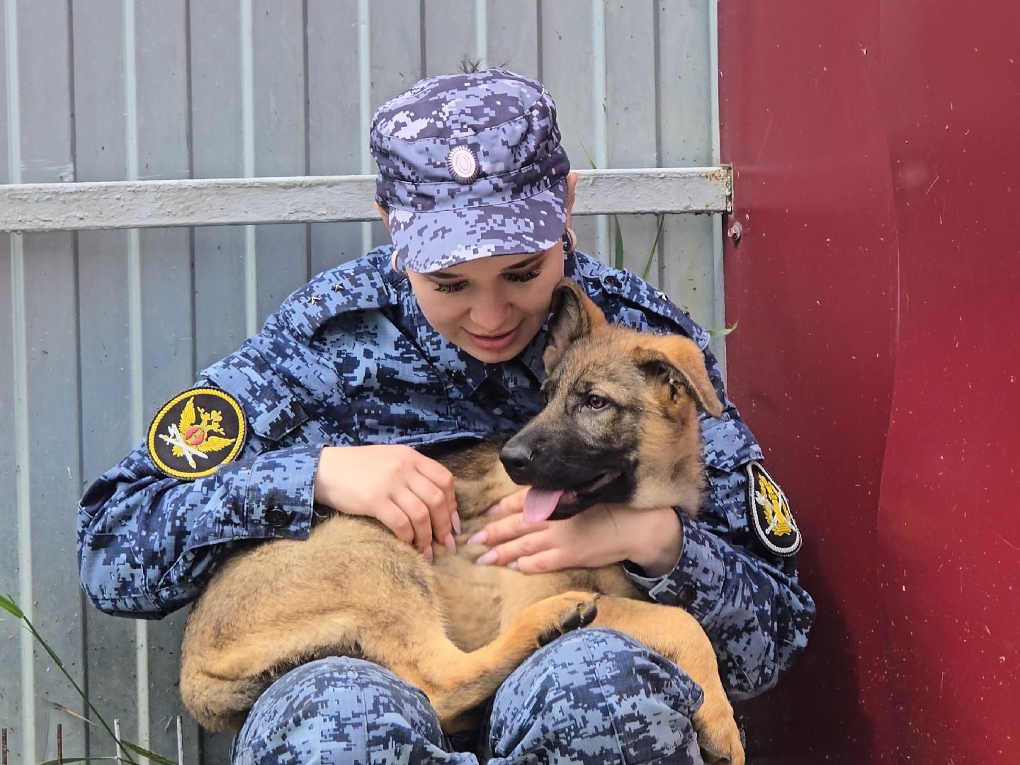 Коломна, питомник служебного собаководства , служебная собака, овчарка,