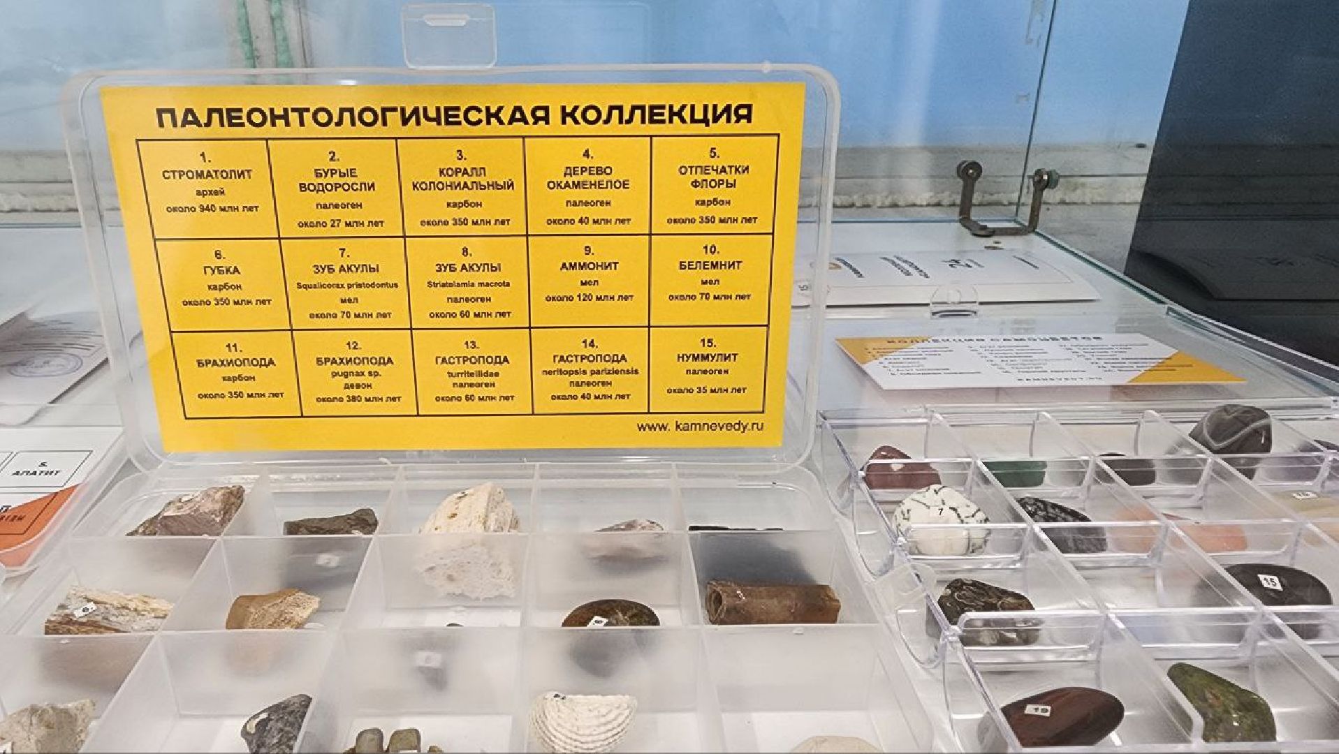 Дмитров, Парк Леко, Фабрика спортивных изделий, Туризм,