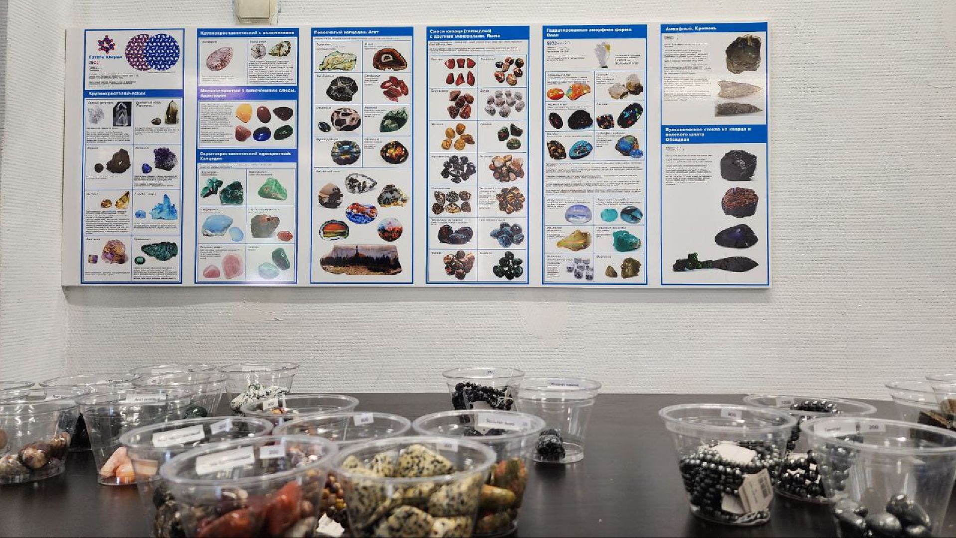 Дмитров, Парк Леко, Фабрика спортивных изделий, Туризм,