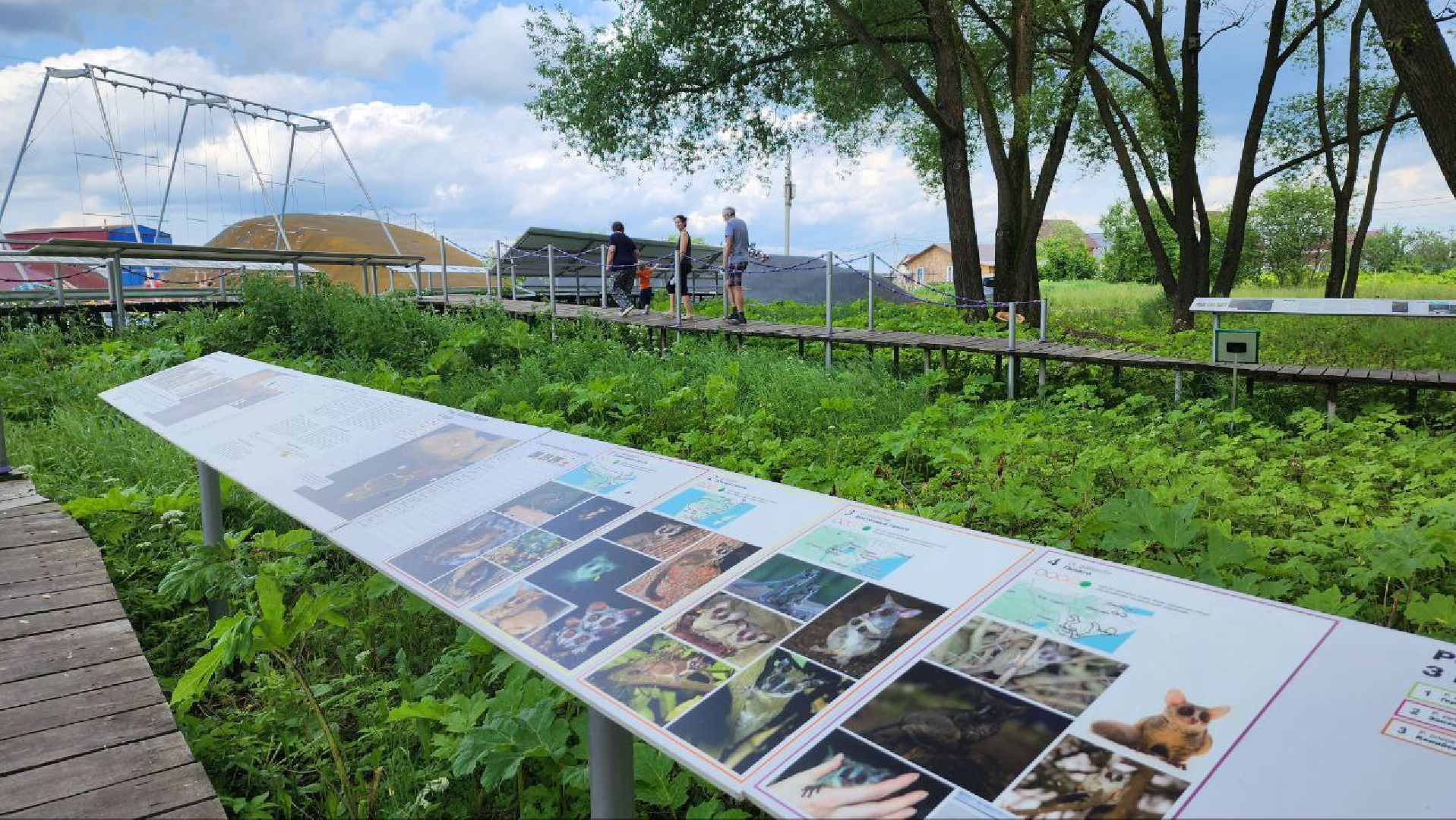 Дмитров, Парк Леко, Фабрика спортивных изделий, Туризм,