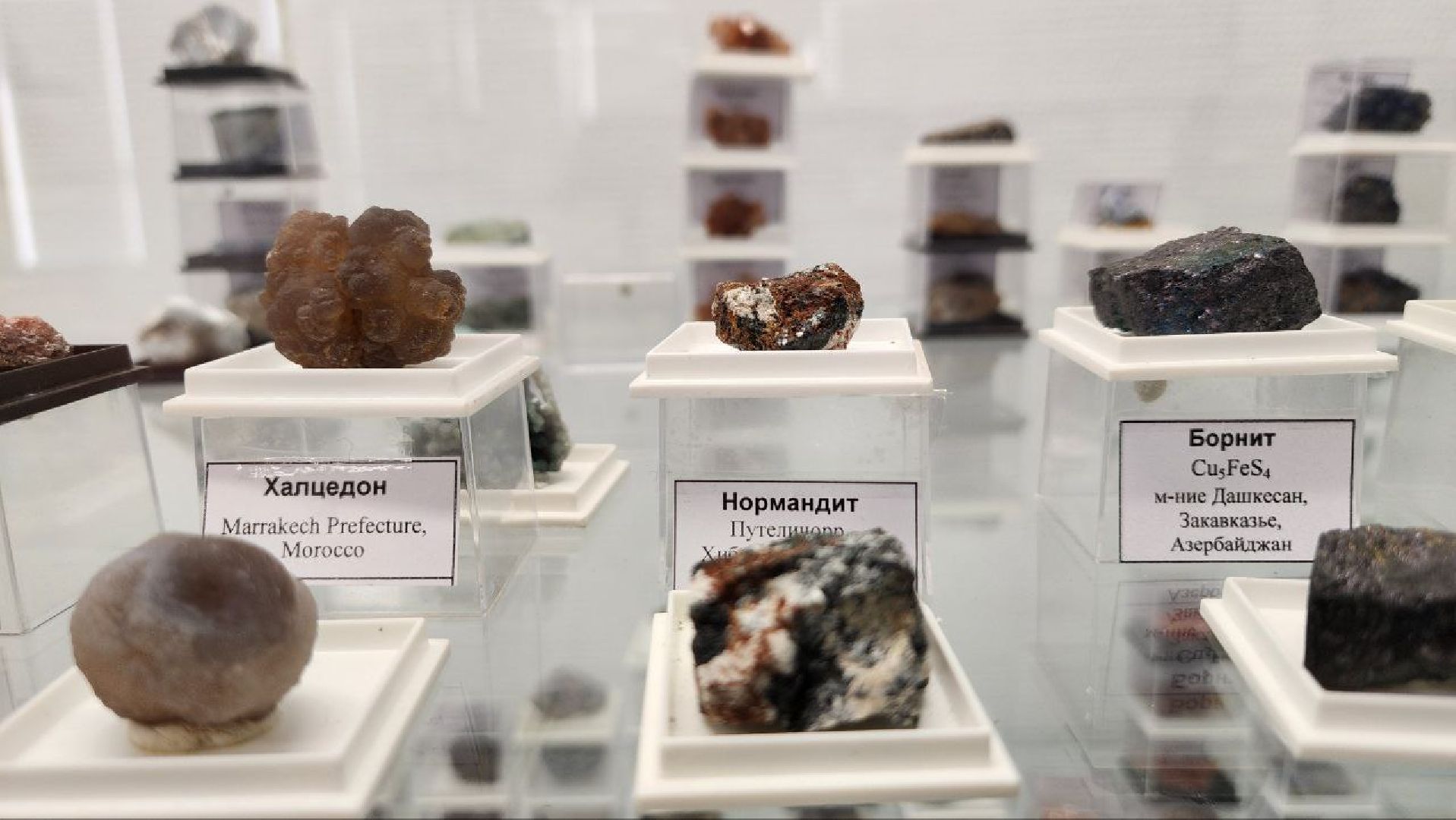 Дмитров, Парк Леко, Фабрика спортивных изделий, Туризм,