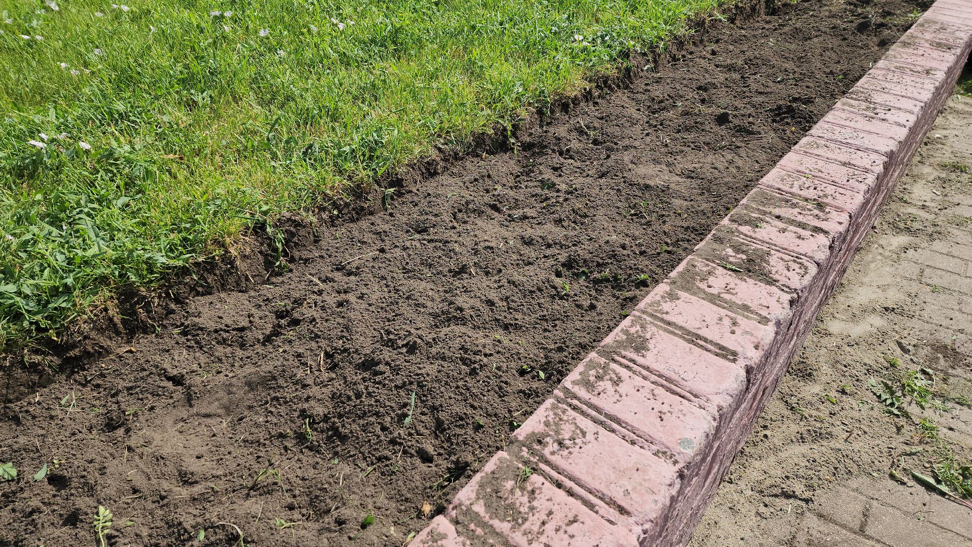 цветы,  благоуствойство,